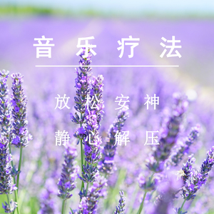 污网站视频进入
